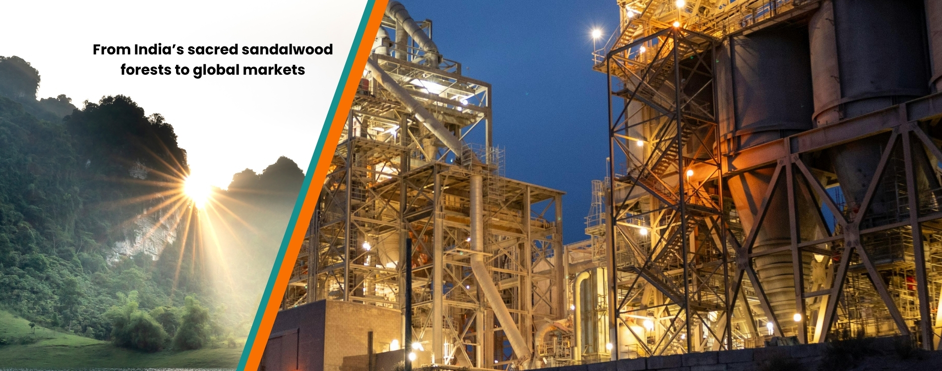 Pure Sandalwood Oil Bottle