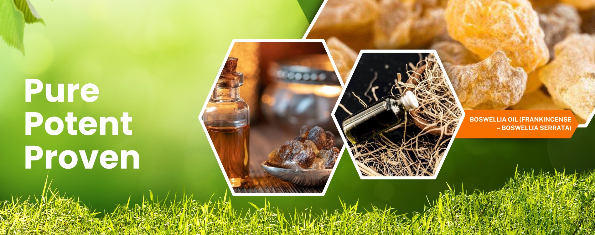 Pure Sandalwood Oil Bottle