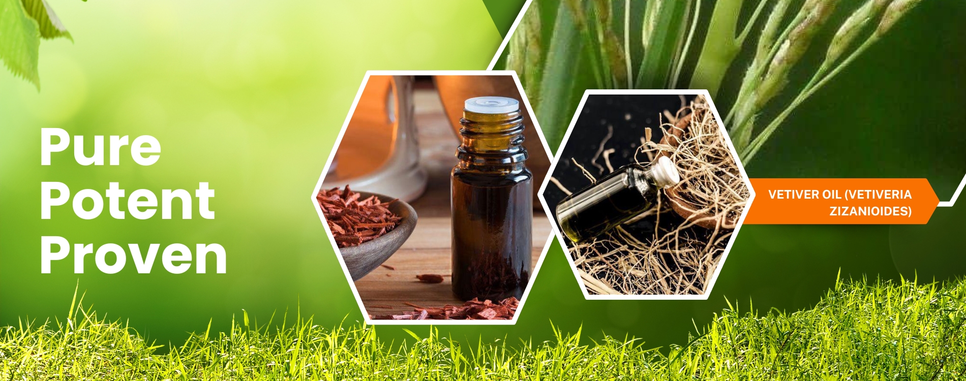 Pure Sandalwood Oil Bottle